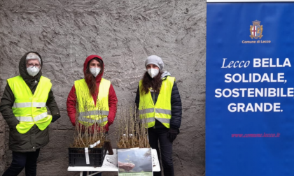 Il "Bosco diffuso" è stato distribuito ai lecchesi che hanno aderito all'iniziativa