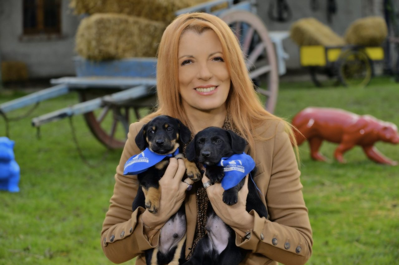 A “Dalla parte degli animali” tanti nuovi protagonisti, tra eroi e fortunati