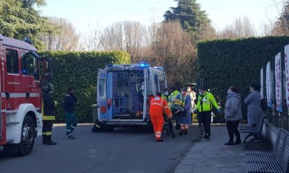 Incidente in Brianza: resta folgorato mentre taglia una pianta,  35enne in ospedale in codice rosso