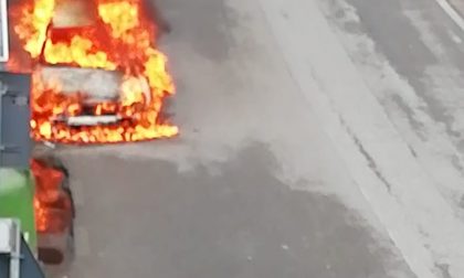 Un'auto carbonizzata, per domare le fiamme ci è voluta un'ora