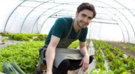 Agricoltura: 4 aziende lecchesi finanziate con il bando per la competitività di Regione Lombardia