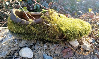 L’uomo abbandona i rifiuti, la natura li trasforma in opere d’arte