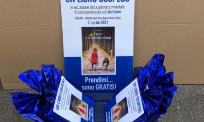 Dado e le farfalle silenti: libro sospeso per l'autismo