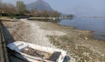 Gli esperti: "Allarme siccità". Anche il nostro lago ne risente FOTO