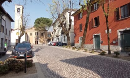 Nuove piantumazioni per le aiuole di piazza padre Cristoforo