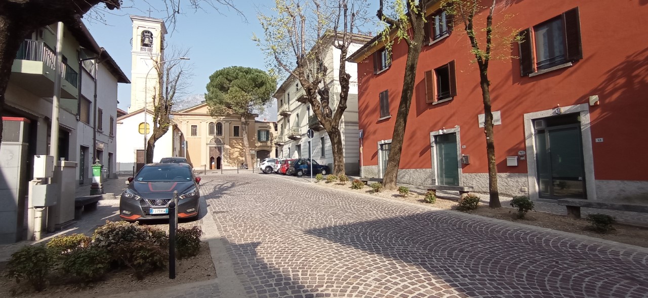 Nuove piantumazioni per le aiuole di piazza padre Cristoforo