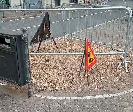 Legambiente interviene sul taglio degli alberi a Bellano