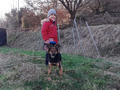 Saracinesche abbassate e teli bianchi alle finestre per ricordare Gioele Petza