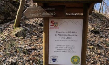 Arte e bosco in dialogo con Monti Sorgenti