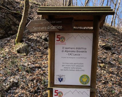 Arte e bosco in dialogo con Monti Sorgenti