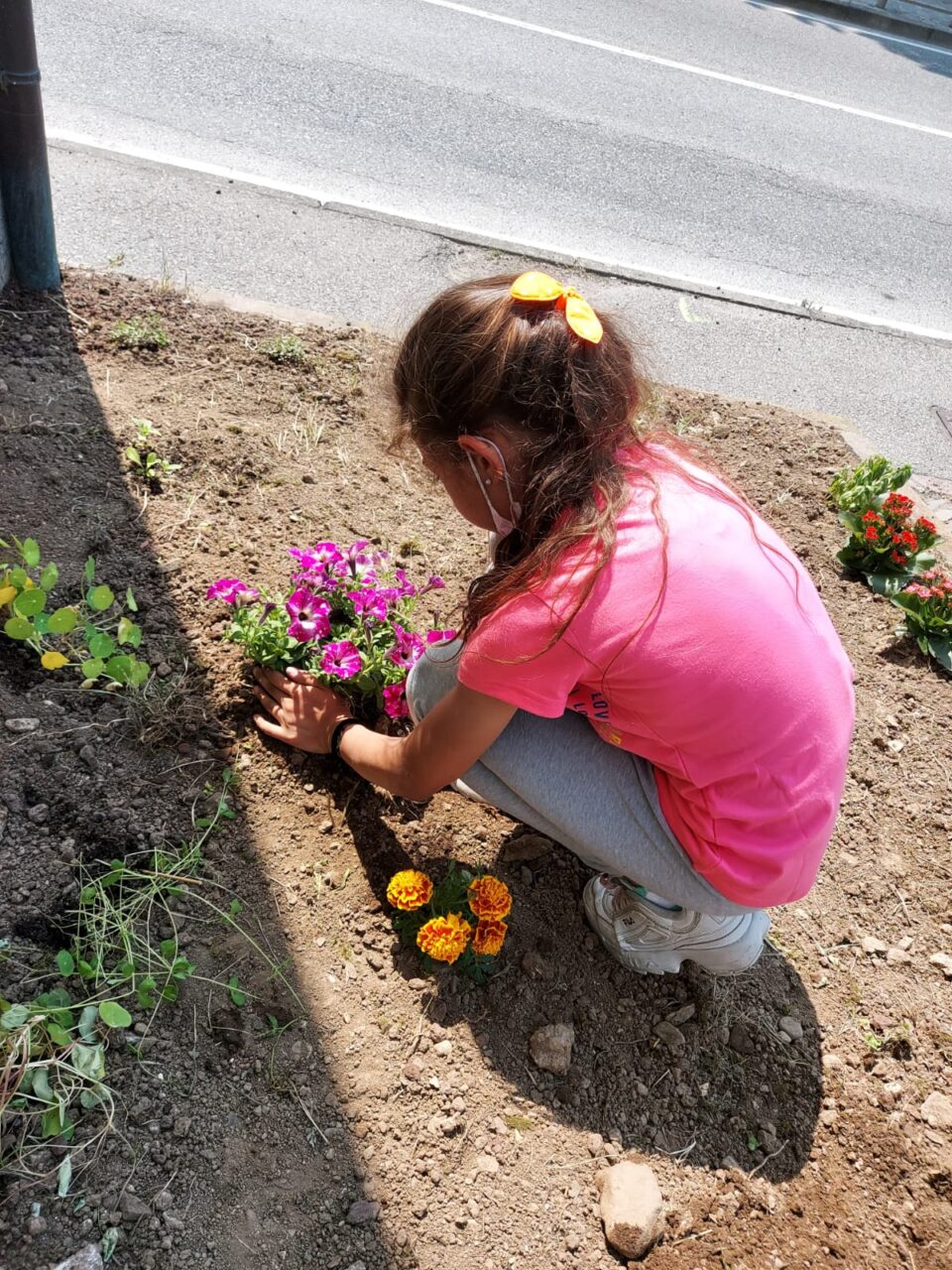 progetto semi di pace