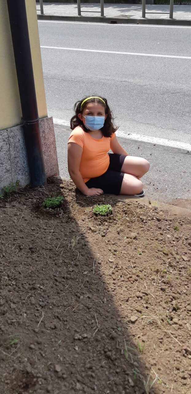 progetto semi di pace