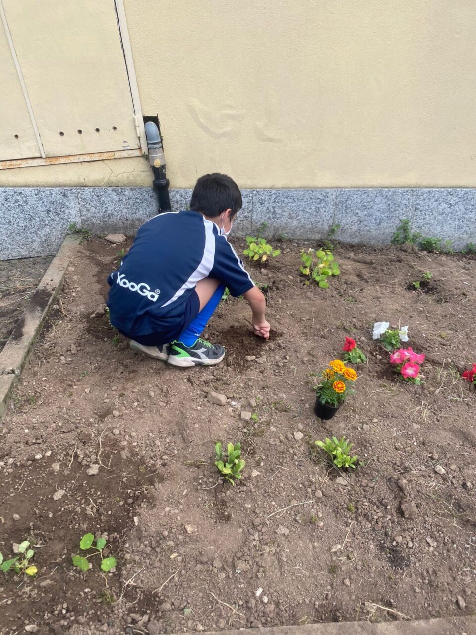 progetto semi di pace