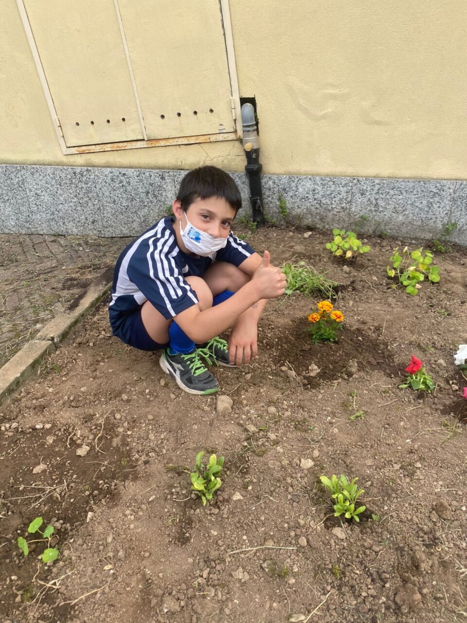 progetto semi di pace