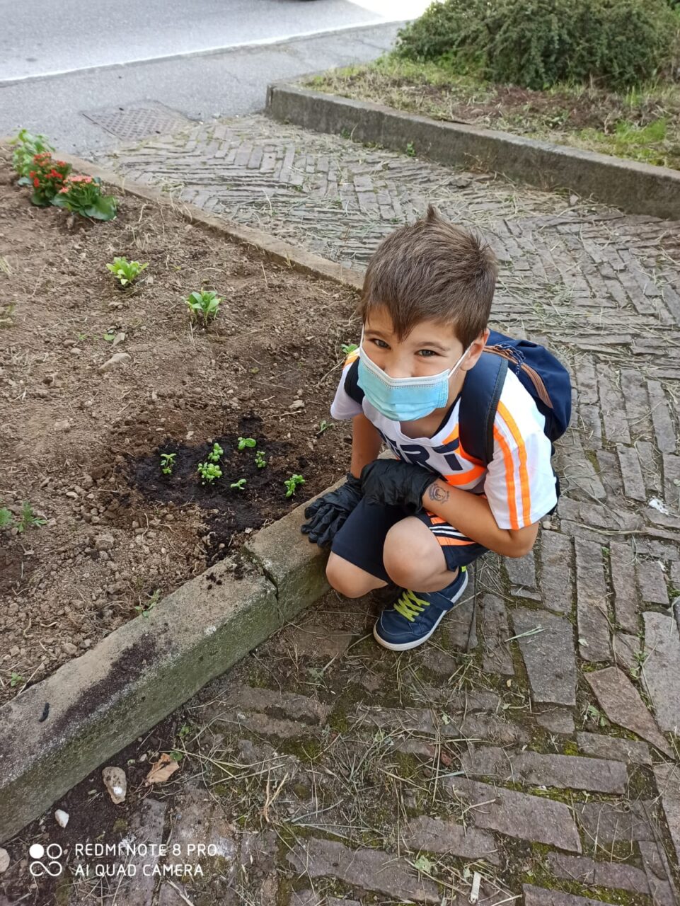 progetto semi di pace