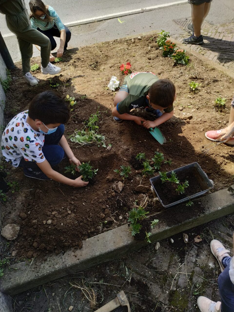 progetto semi di pace