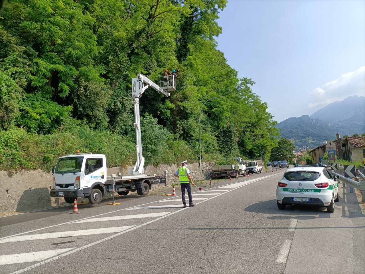 Alberi pericolanti sulla Provinciale: intervento urgente del Comune