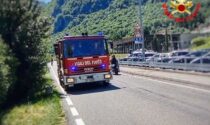 Paura a Oliveto:  famiglia travolta da un albero in spiaggia