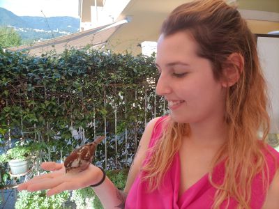 La storia di Cip, il passero non più solitario: salvato, svezzato e infine adottato