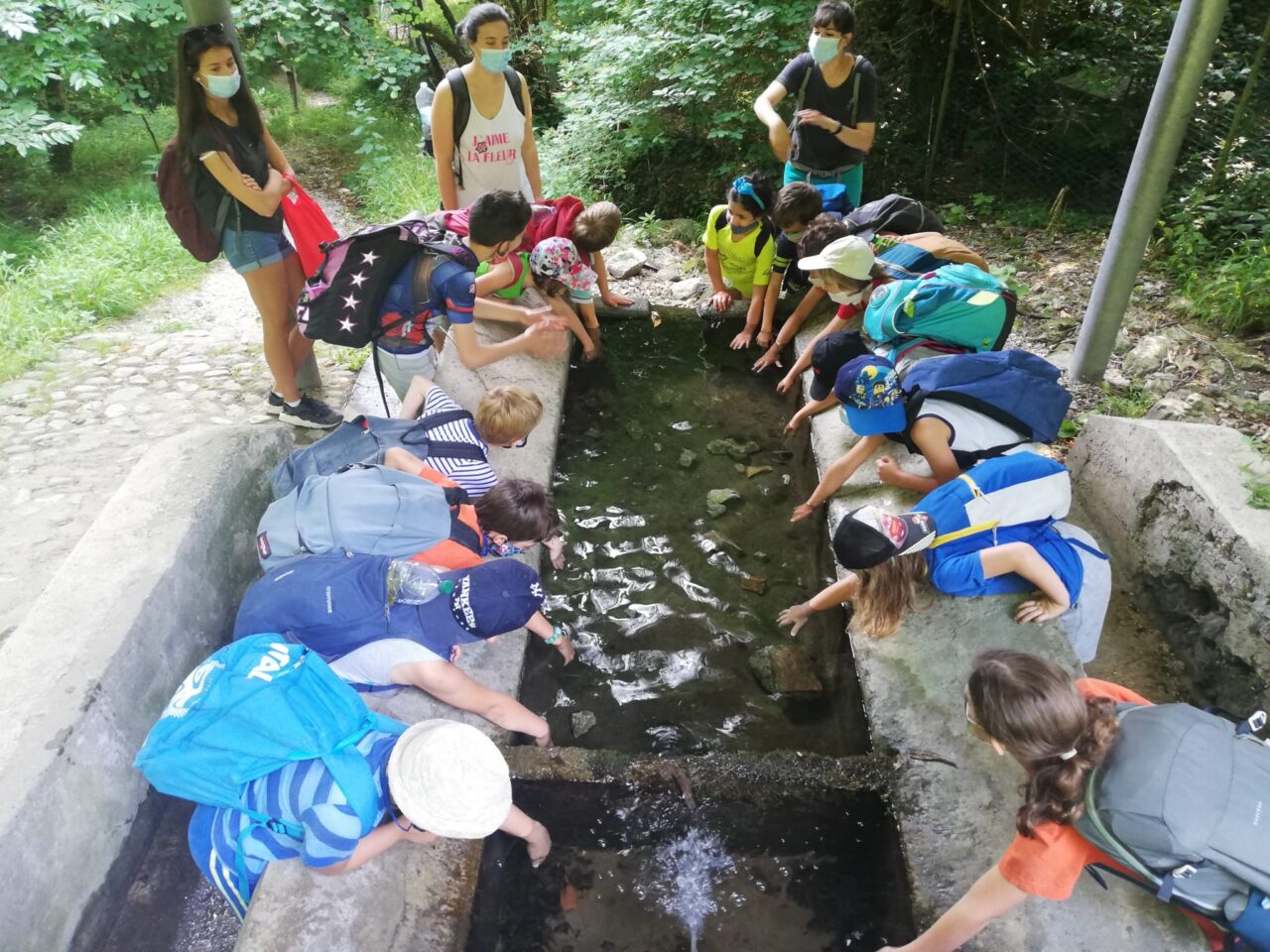 Vacanze Natura 2025: iscrizioni aperte ai campi estivi di Legambiente al Monte Barro