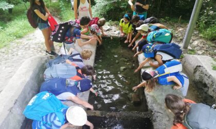 Vacanze Natura 2025: iscrizioni aperte ai campi estivi di Legambiente al Monte Barro