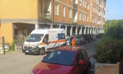 Marito e moglie punti da un calabrone: 36enne in shock anafilattico
