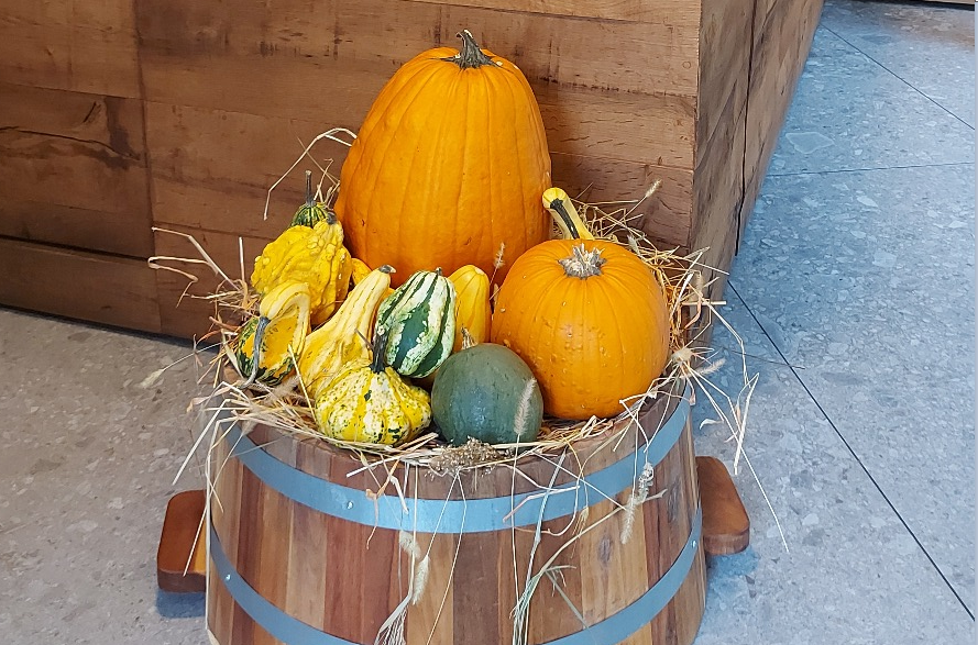 Metti le zucche in vetrina: ecco i vincitori
