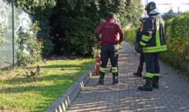 Fiamme lungo la linea ferroviaria Lecco-Milano: intervento dei Vigili del fuoco