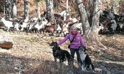 I lupi minacciano le capre in Alto Lago, aiutiamo Cristina a difendere il suo gregge