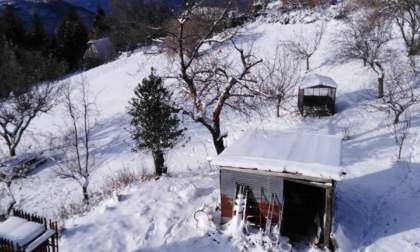 Neve: a Bellano isolato un allevamento con 60 animali