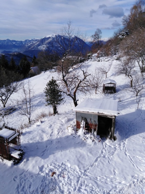Neve: a Bellano isolato un allevamento con 60 animali