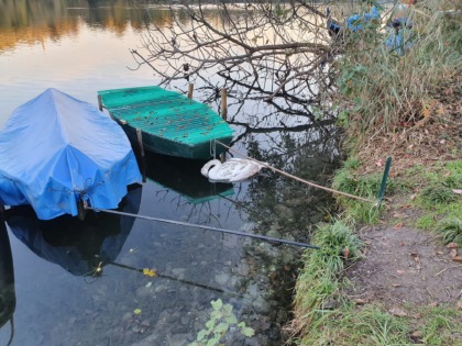 il-popolo-del-fiume-adda-si-commuove