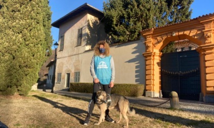 A Lecco torna a pieno ritmo l'iniziativa per aiutare le famiglie colpire dal Covid nella cura degli animali