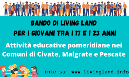 Living Land: si cercano ragazzi per attività pomeridiane coi bambini