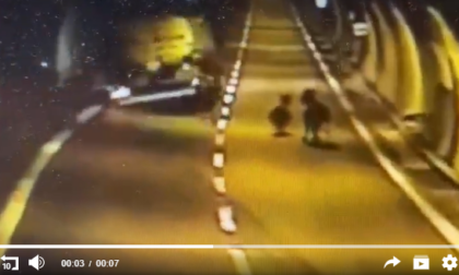 Dopo il cervo anche gli asini in galleria sulla 36. L'incredibile video dell'incidente sfiorato