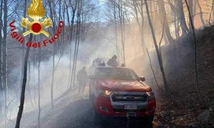 Auto a fuoco: l'incendio si propaga fino al bosco FOTO