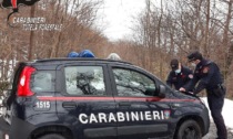 I Carabinieri della Forestale non lasciano Lecco