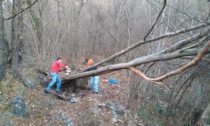 Volontari in campo per pulire il sentiero dopo la caduta degli alberi