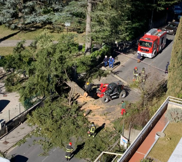 Tragedia sfiorata: alberi e palo della luce abbattuti dal vento franano in strada, auto colpita dai rami
