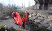 Intervento di pulizia del torrente Culigo a Chiuso