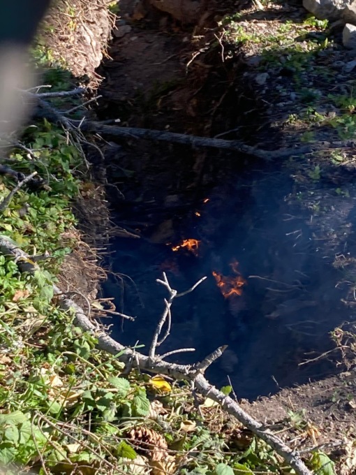 Accende il fuoco nel bosco nonostante l’allerta: beccato e sanzionato
