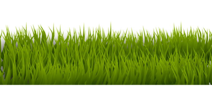 Erba sintetica: quanto dura in giardino e quali sono i vantaggi