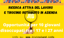 Ricerca attiva del lavoro e tirocinio per giovani disoccupati con Living Land