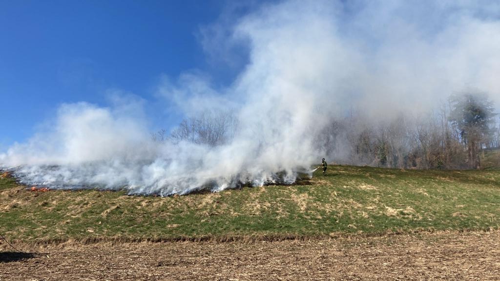 incendio-nel-parco-adda-nord-3