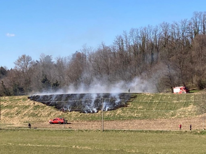 In fiamme una scarpata nel Parco Adda Nord FOTO