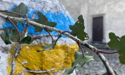 Giallo-azzurro, i colori dell'Ucraina sui sentieri lecchesi