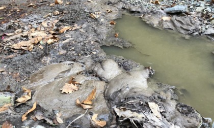 Sversamento maleodorante nel torrente