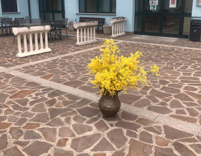 Dal Comune mimose per le ospiti della casa di riposo