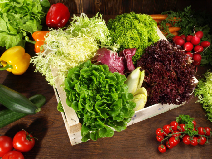 Da oggi in regalo i semi di insalata con il Giornale di Lecco