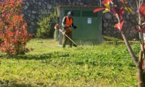 Verde pubblico: Malgrate e Civate affidano a Silea la cura